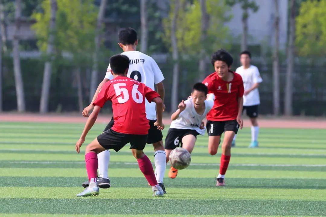 任翔宇组合