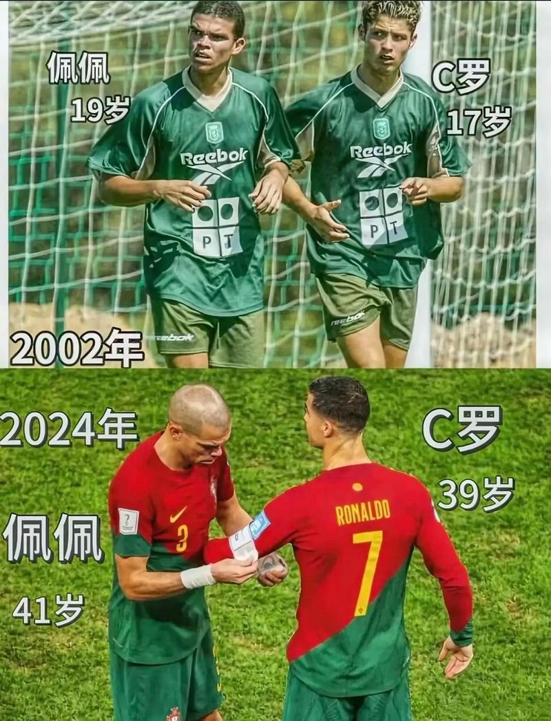母们提供了