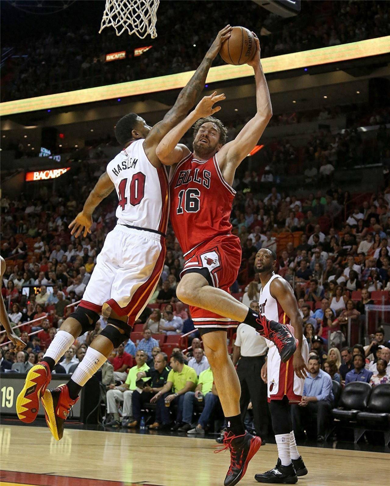 无论是速度 无论是速度